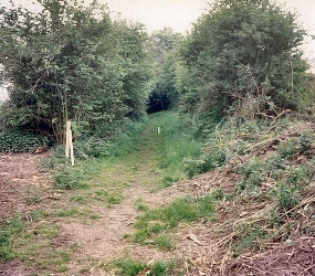 Ancient Footpath