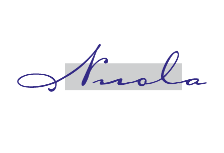 Nuola Logo